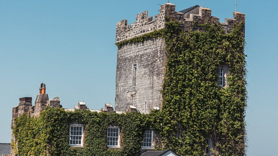 Cloonacauneen Castle, Ireland